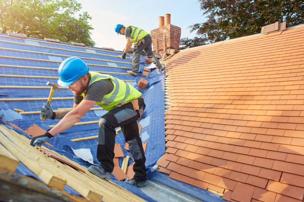 Best Solar Panel Roofing Installation  in Combes, TX